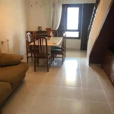 Anguis V Orihuela