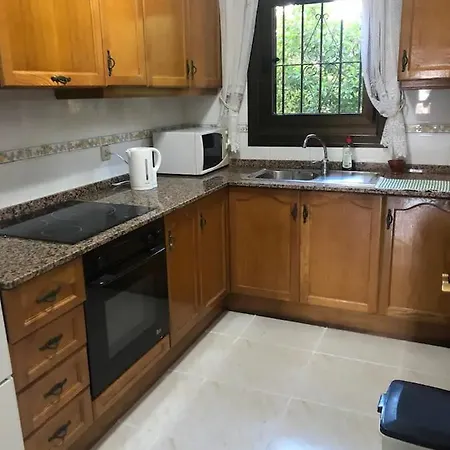 Anguis V Orihuela